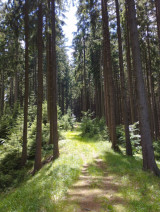 Fotogalerie Dvoudenní DofE expedice - Bronzová úroveň, foto č. 3